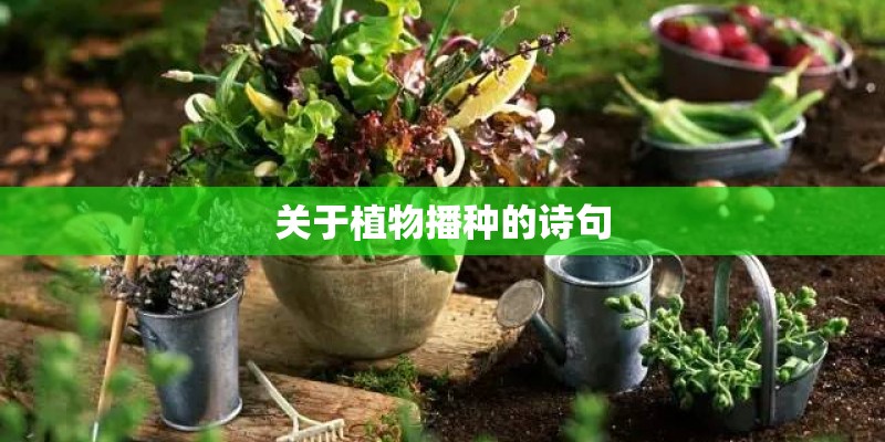 关于植物播种的诗句