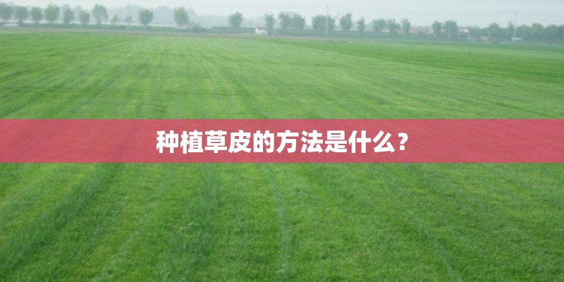 种植草皮的方法是什么？