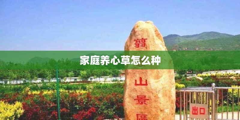 家庭养心草怎么种