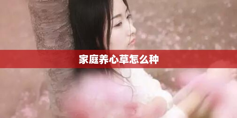家庭养心草怎么种
