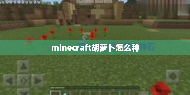 minecraft胡萝卜怎么种