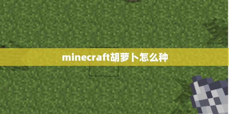 minecraft胡萝卜怎么种