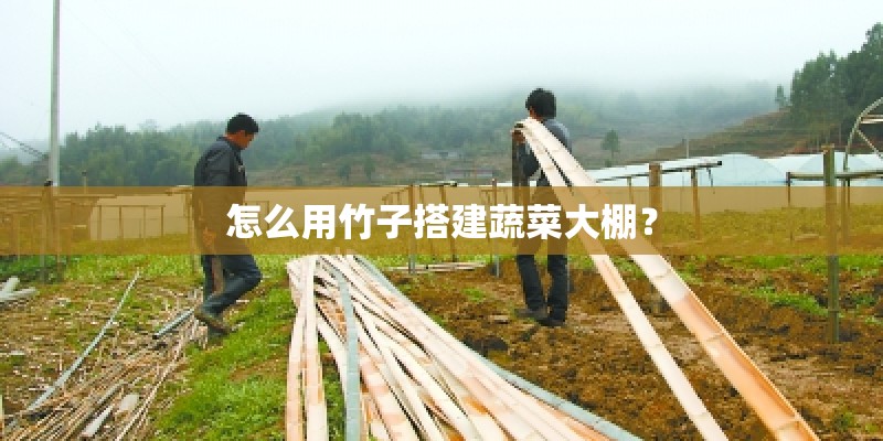 怎么用竹子搭建蔬菜大棚？