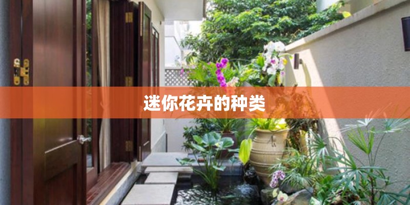 迷你花卉的种类