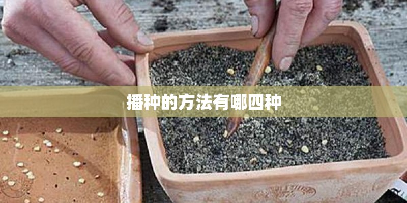 播种的方法有哪四种