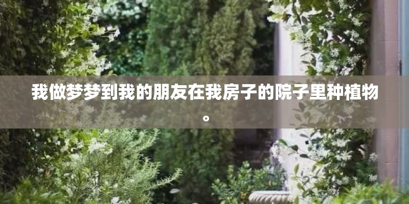 我做梦梦到我的朋友在我房子的院子里种植物。