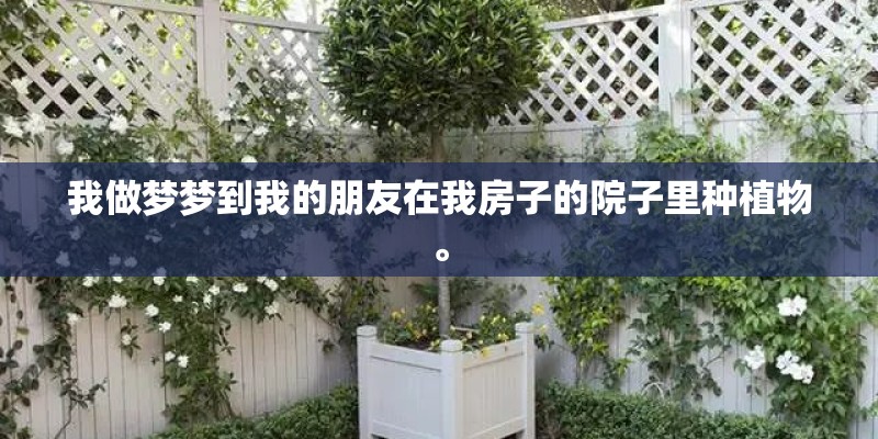 我做梦梦到我的朋友在我房子的院子里种植物。