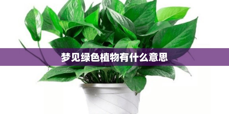 梦见绿色植物有什么意思