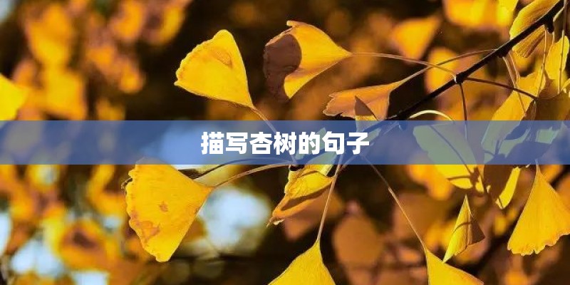 描写杏树的句子