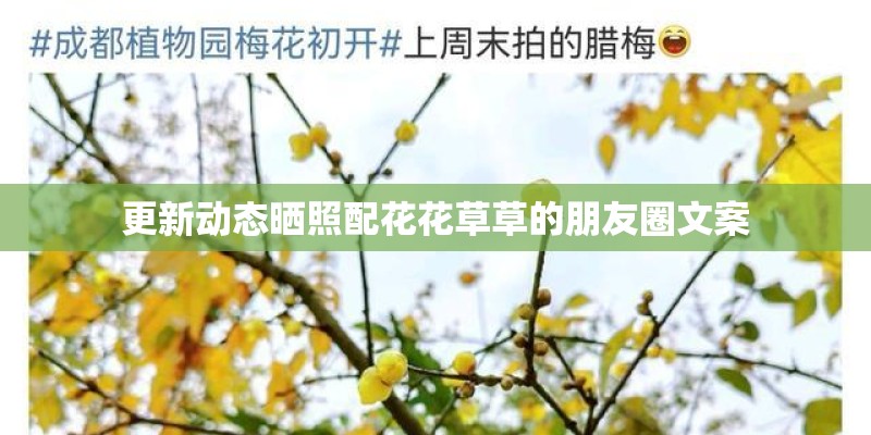 更新动态晒照配花花草草的朋友圈文案
