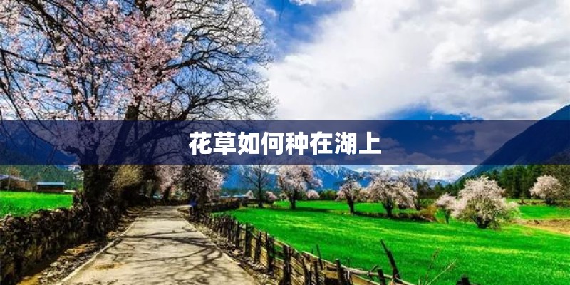 花草如何种在湖上