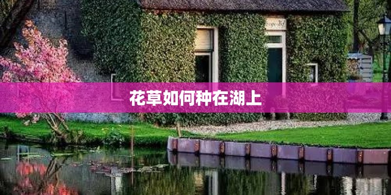 花草如何种在湖上