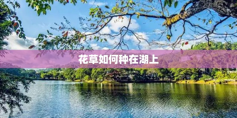 花草如何种在湖上