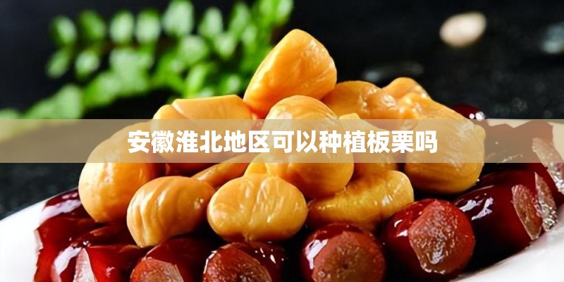 安徽淮北地区可以种植板栗吗