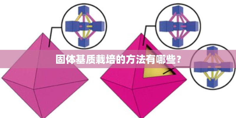 固体基质栽培的方法有哪些？