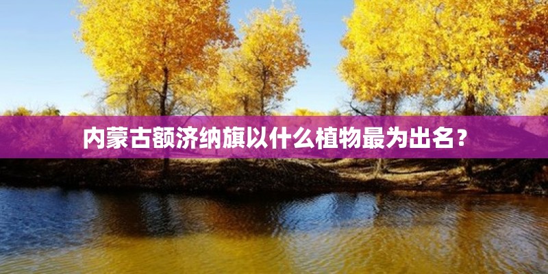 内蒙古额济纳旗以什么植物最为出名？