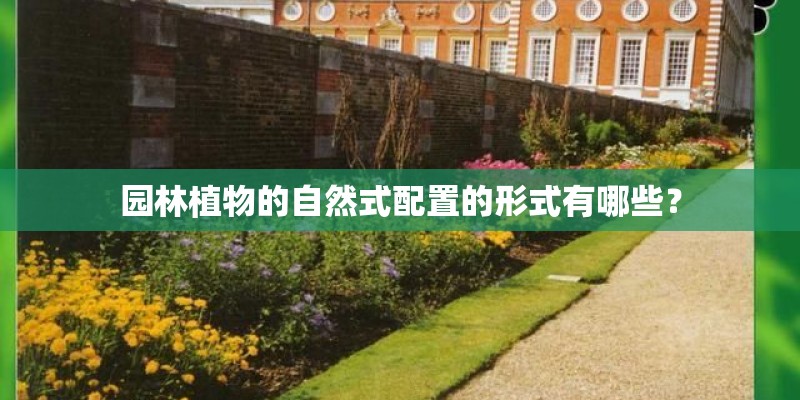 园林植物的自然式配置的形式有哪些？