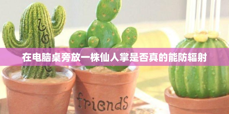在电脑桌旁放一株仙人掌是否真的能防辐射