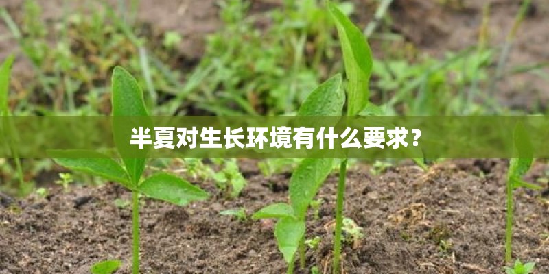 半夏对生长环境有什么要求？