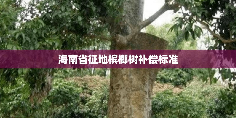 海南省征地槟榔树补偿标准