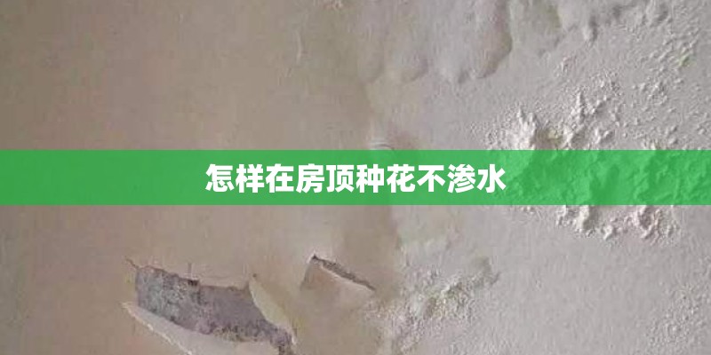 怎样在房顶种花不渗水