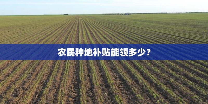 农民种地补贴能领多少？