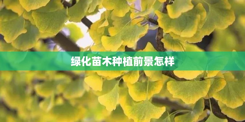 绿化苗木种植前景怎样