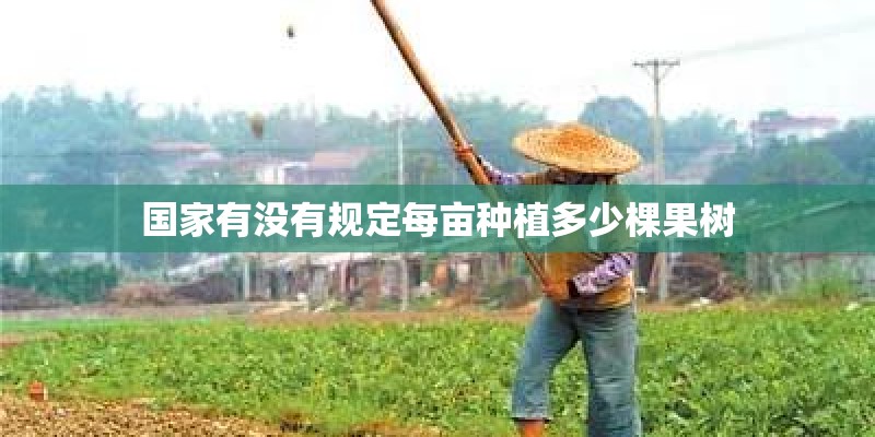 国家有没有规定每亩种植多少棵果树