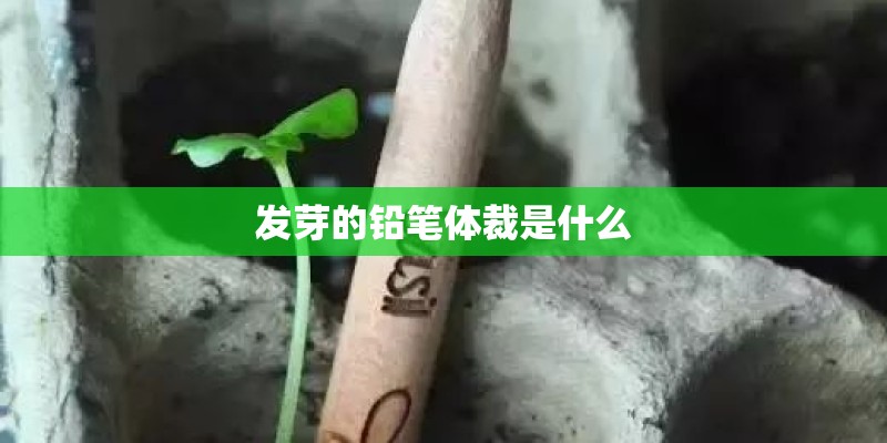 发芽的铅笔体裁是什么