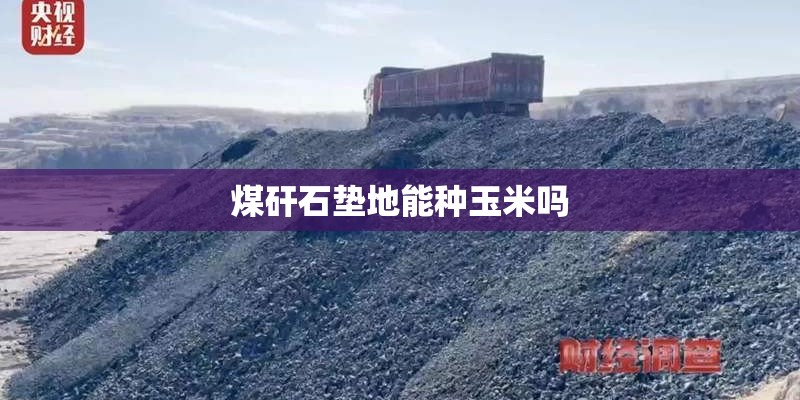 煤矸石垫地能种玉米吗