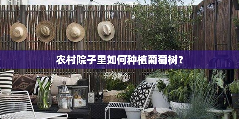 农村院子里如何种植葡萄树？