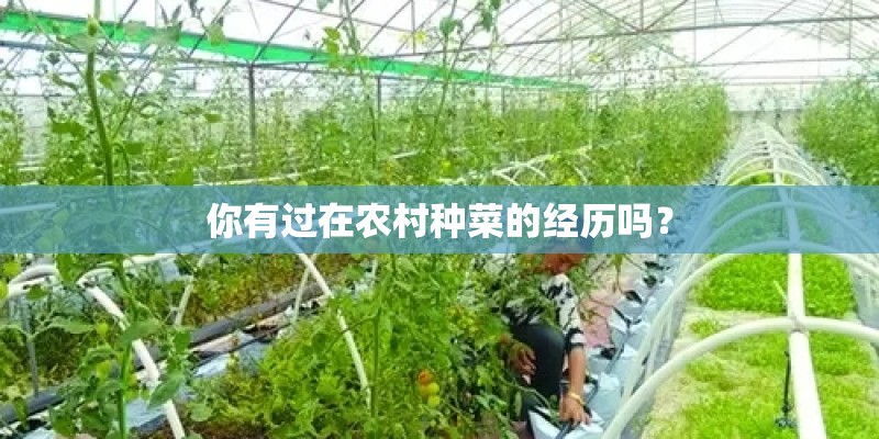 你有过在农村种菜的经历吗？