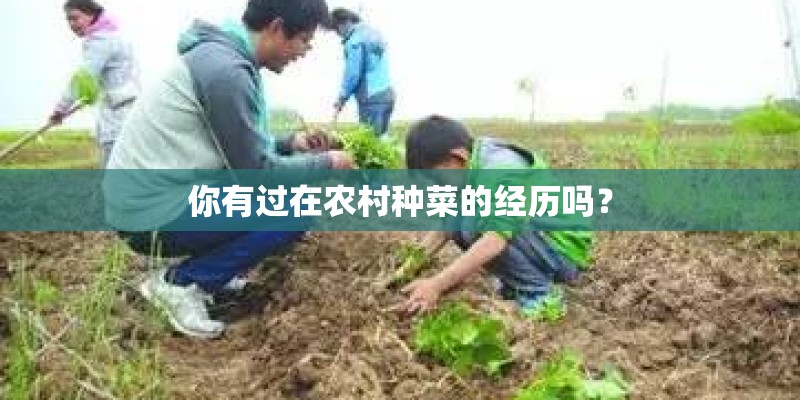你有过在农村种菜的经历吗？