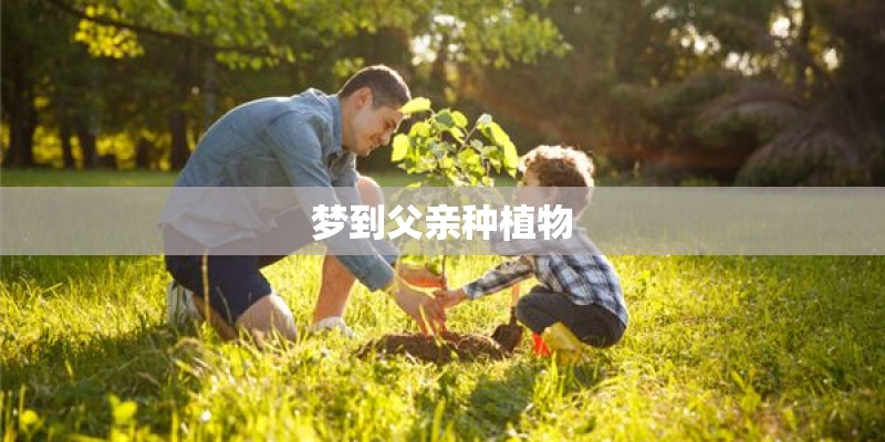 梦到父亲种植物