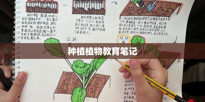 种植植物教育笔记