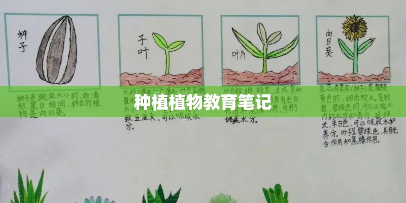 种植植物教育笔记