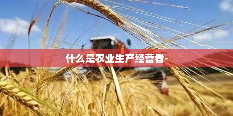什么是农业生产经营者-