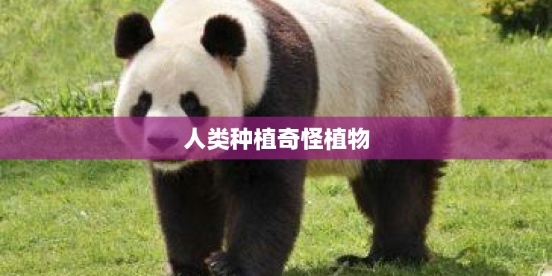 人类种植奇怪植物