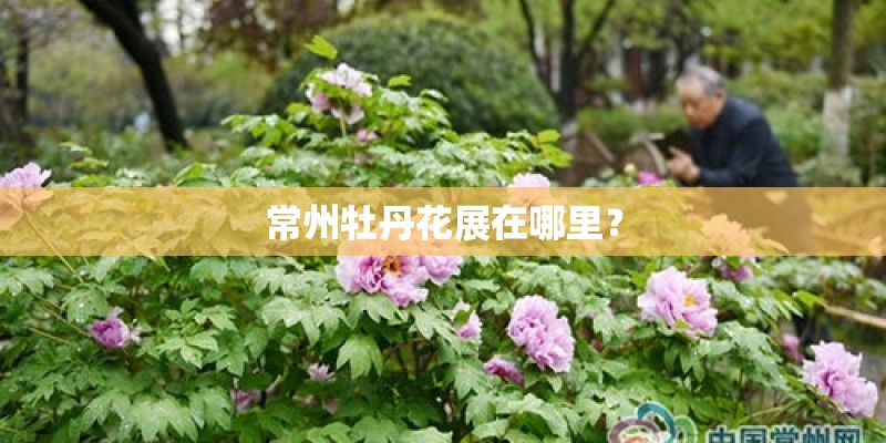 常州牡丹花展在哪里？