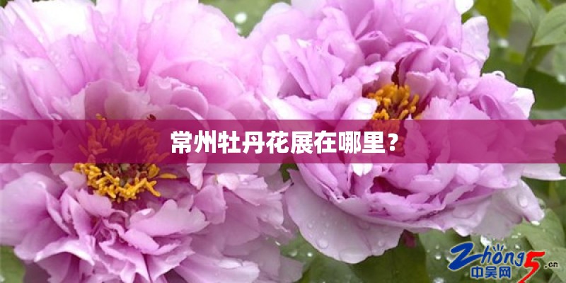 常州牡丹花展在哪里？