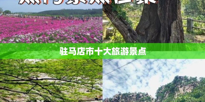 驻马店市十大旅游景点
