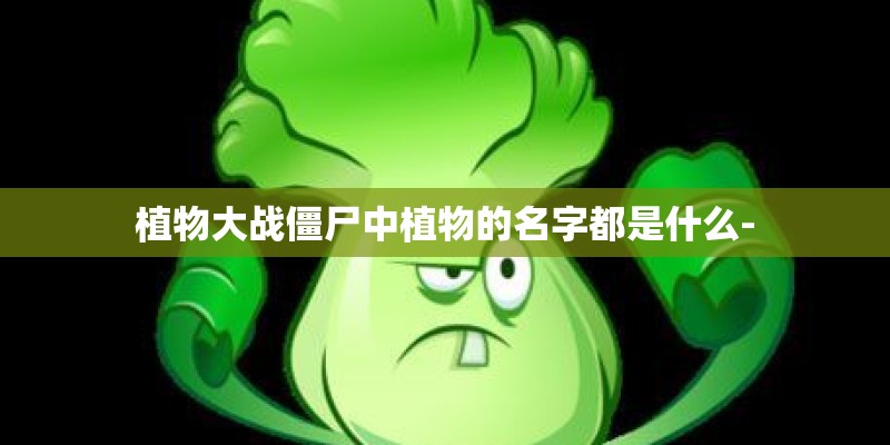 植物大战僵尸中植物的名字都是什么-