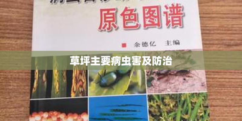 草坪主要病虫害及防治
