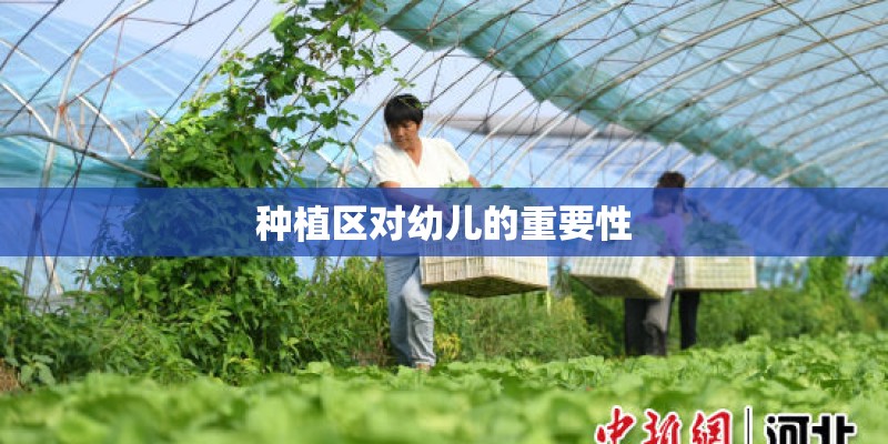 种植区对幼儿的重要性