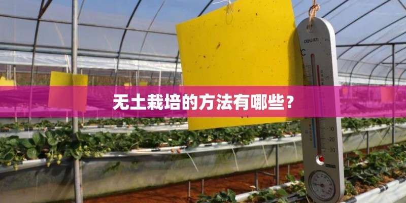 无土栽培的方法有哪些？