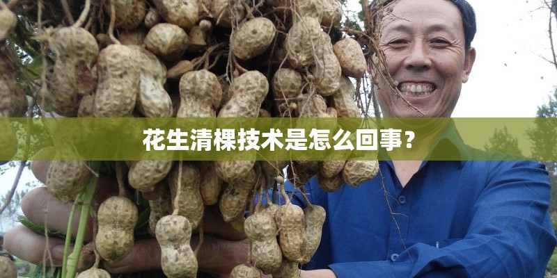 花生清棵技术是怎么回事？