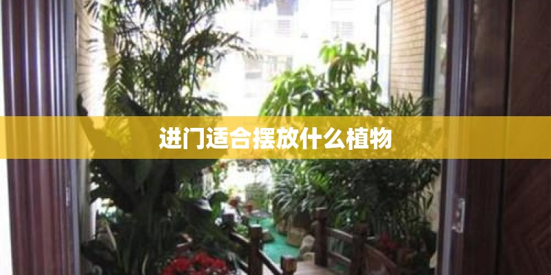 进门适合摆放什么植物