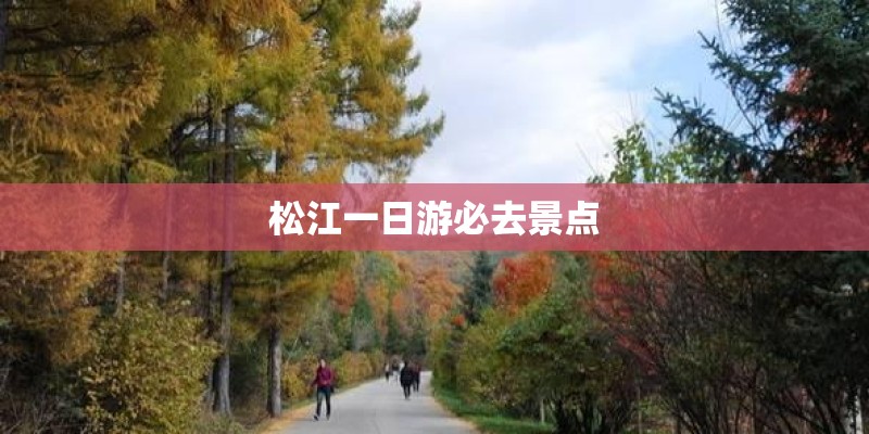 松江一日游必去景点